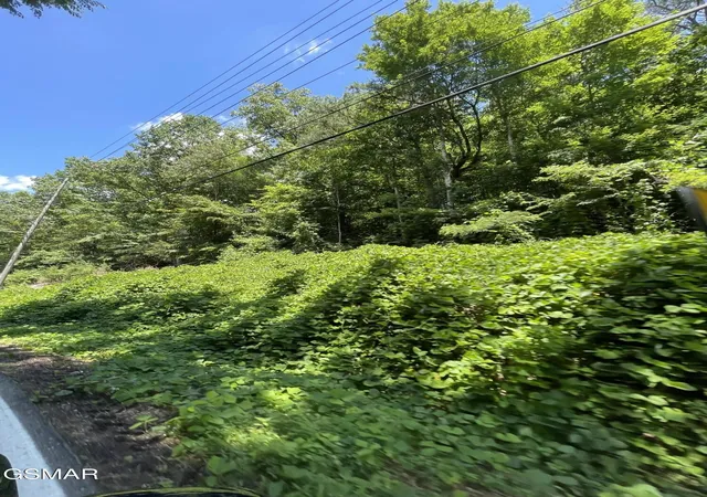 1st image of 1 Pittman Center Road, Sevierville, TN 37876 | MLS# 3518366