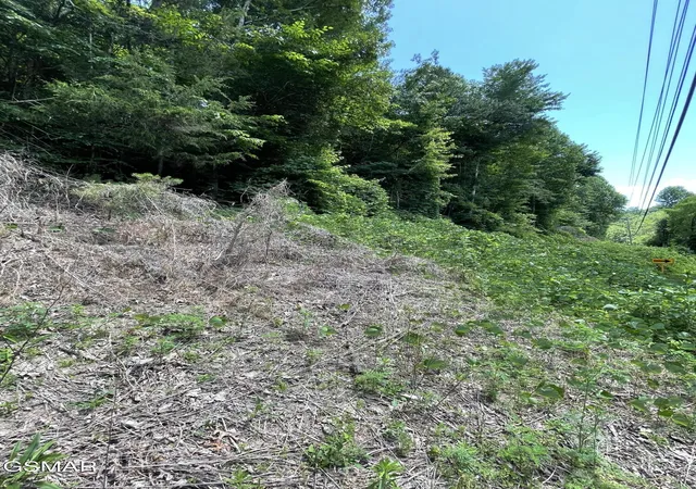 11th image of 1 Pittman Center Road, Sevierville, TN 37876 | MLS# 3518366