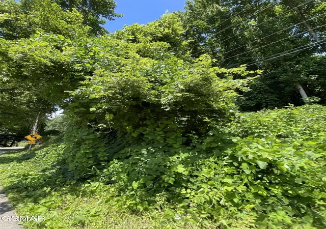 2nd image of 1 Pittman Center Road, Sevierville, TN 37876 | MLS# 3518366