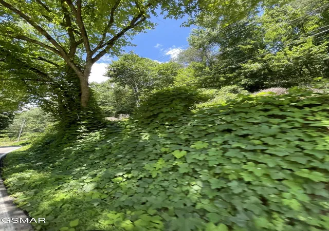 3rd image of 1 Pittman Center Road, Sevierville, TN 37876 | MLS# 3518366