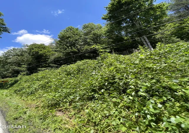 4th image of 1 Pittman Center Road, Sevierville, TN 37876 | MLS# 3518366