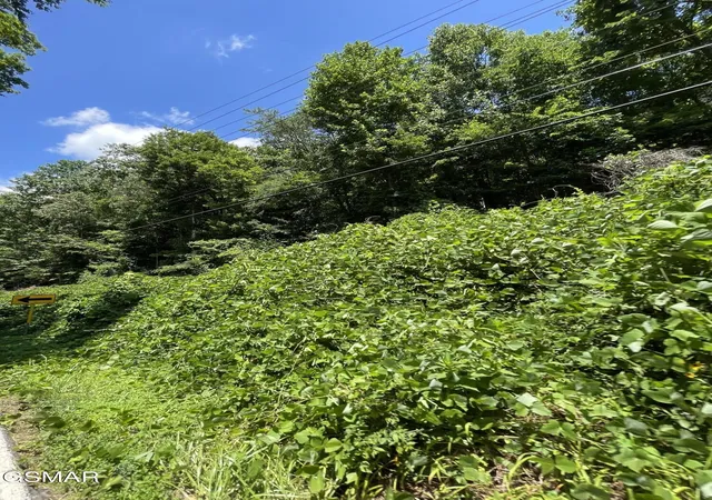 5th image of 1 Pittman Center Road, Sevierville, TN 37876 | MLS# 3518366