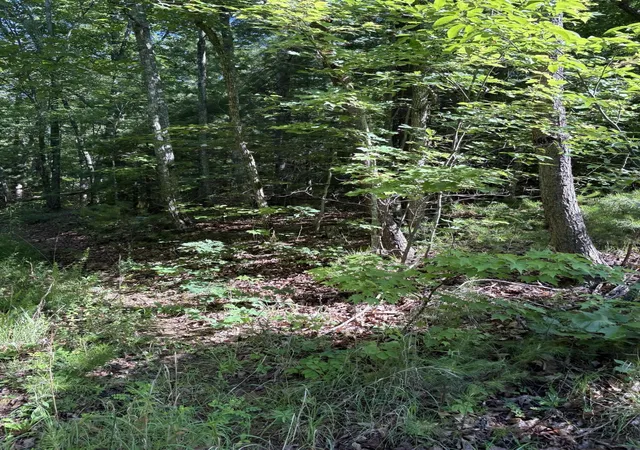 Photo 3 of Land for sale at 3 Old Furnace Rd, Tellico Plains, TN 37385 | MLS# 3242603 | Listing updated on 2026-08-13
