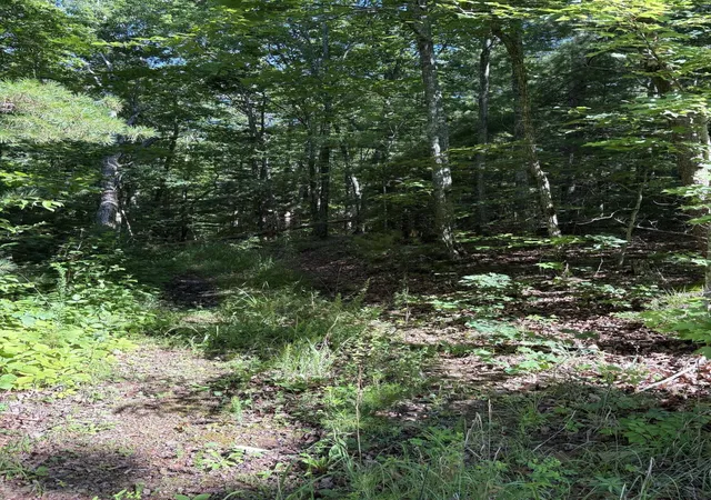 Photo 3 of Land for sale at 3 Old Furnace Rd, Tellico Plains, TN 37385 | MLS# 3242603 | Listing updated on 2026-08-13