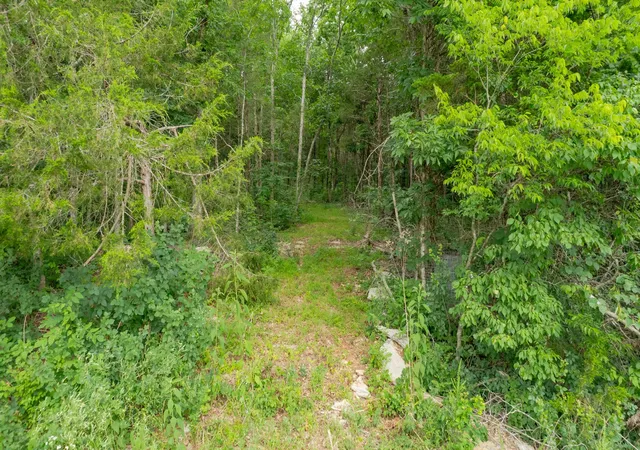 4th image of 0 Morgan Rd, Rockvale, TN 37153 | MLS# 3242780