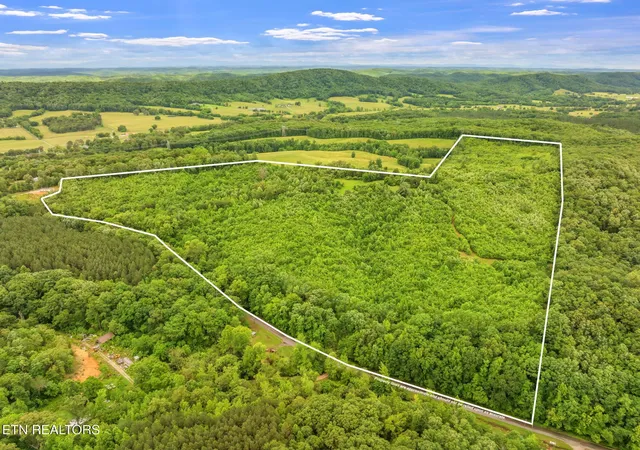 Photo 3 of Land for sale at 0 Grigsby Holw Rd, Kingston, TN 37763 | MLS# 3615189 | Listing updated on 2026-10-08