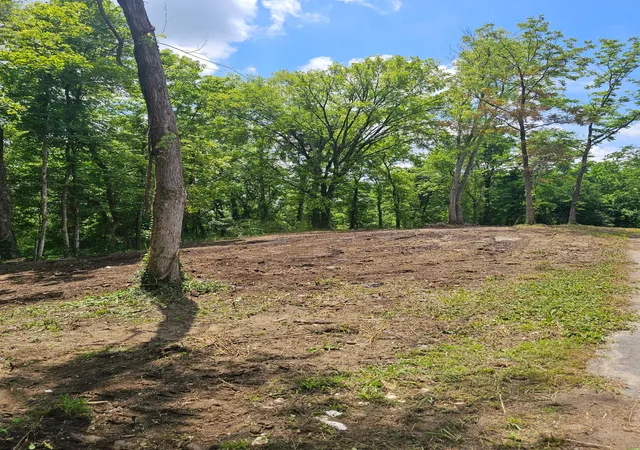 Photo 4 of Land for sale at 0 8th Street, Bell Buckle, TN 37020 | MLS# 3243419 | Listing updated on 2026-08-19