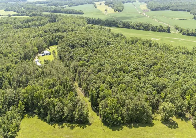 Homes for sale in Michie, TN | 1640 Lick Creek Rd, Michie, TN 38357 | MLS# 3242820
