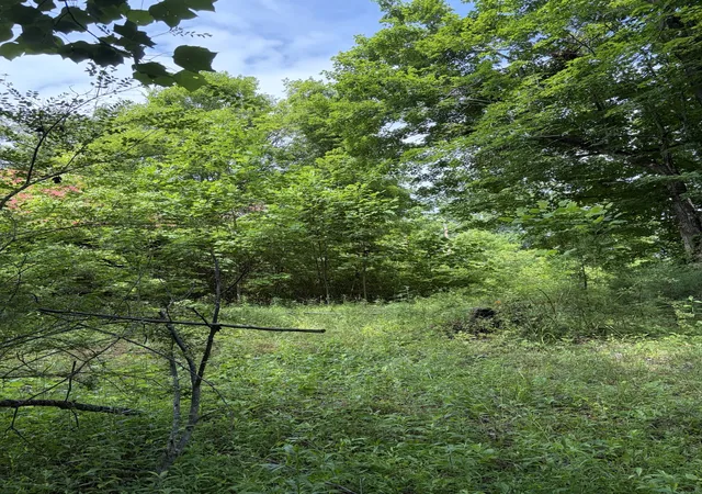 4th image of 200 Robert Neal Durham Rd, Bethpage, TN 37022 | MLS# 3242865
