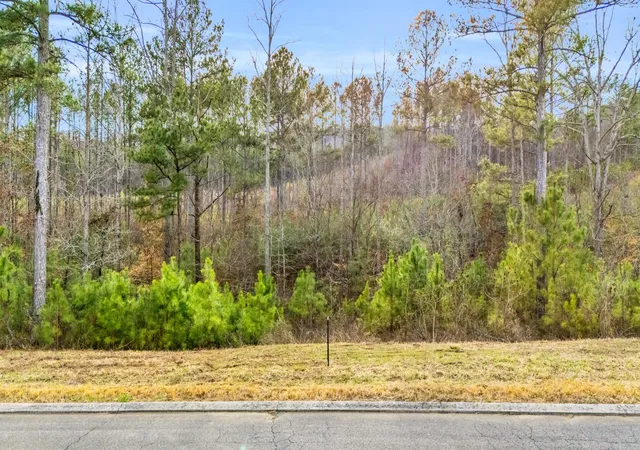 Homes for sale in Ocoee, TN | 110 Quail Lane, Ocoee, TN 37361 | MLS# 3250419
