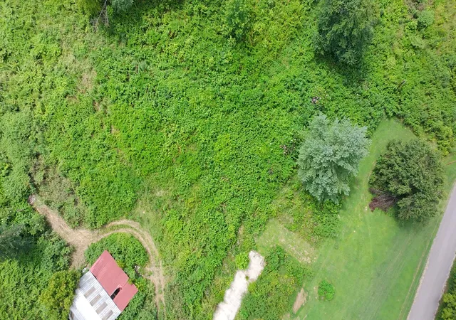 1st image of 440 Big Spring Hollow Rd, Pulaski, TN 38478 | MLS# 3242900