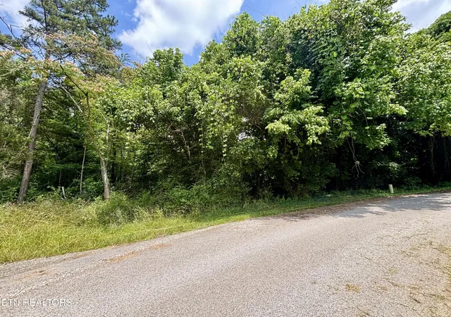 2nd image of 0 Davis Hollow Rd, Harriman, TN 37748 | MLS# 3521078