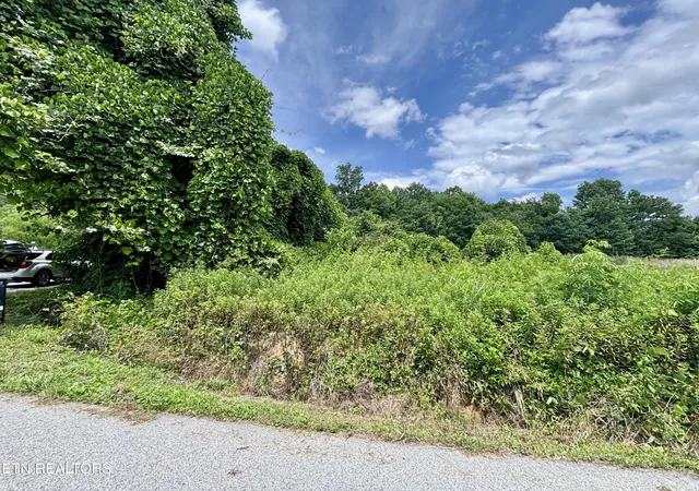 Photo 3 of Land for sale at 0 Davis Hollow Rd, Harriman, TN 37748 | MLS# 3521078 | Listing updated on 2026-08-24