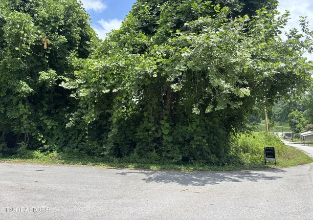 Photo 4 of Land for sale at 0 Davis Hollow Rd, Harriman, TN 37748 | MLS# 3521078 | Listing updated on 2026-08-24