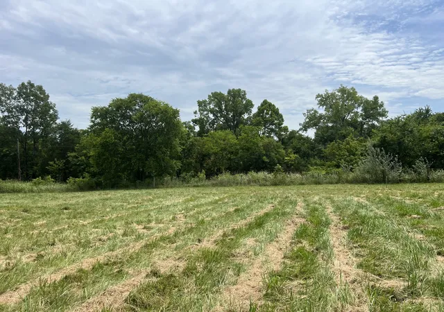 17th image of 1025 Mill Rd, Lebanon, TN 37090 | MLS# 3242935