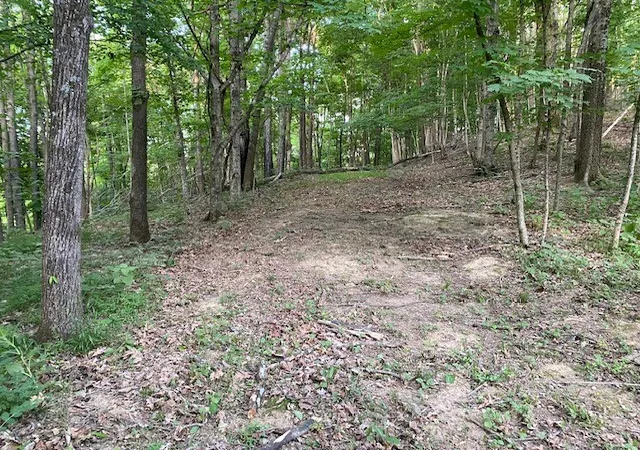 3rd image of 250 Hurt Rd, Hendersonville, TN 37075 | MLS# 3243881