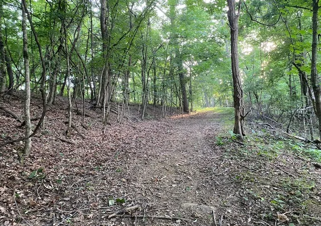 4th image of 250 Hurt Rd, Hendersonville, TN 37075 | MLS# 3243881