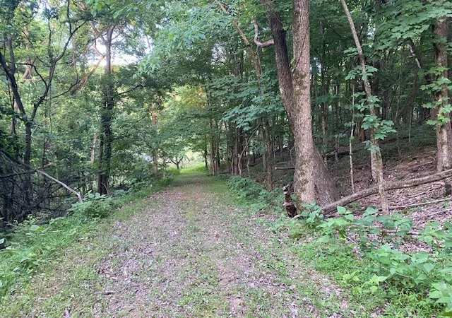 5th image of 250 Hurt Rd, Hendersonville, TN 37075 | MLS# 3243881