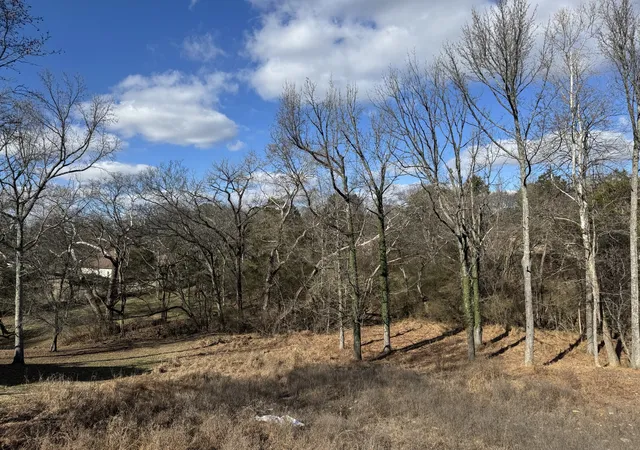 Photo 3 of Land for sale at 1837 Hidden Ridge Cir, Mount Juliet, TN 37122 | MLS# 3250280 | Listing updated on 2026-06-25