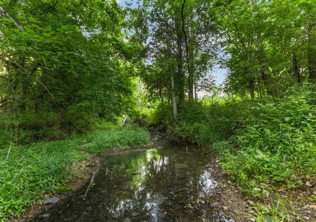 100th image of 8021 Palmore Hollow Ln, Nolensville, TN 37135 | MLS# 3513649