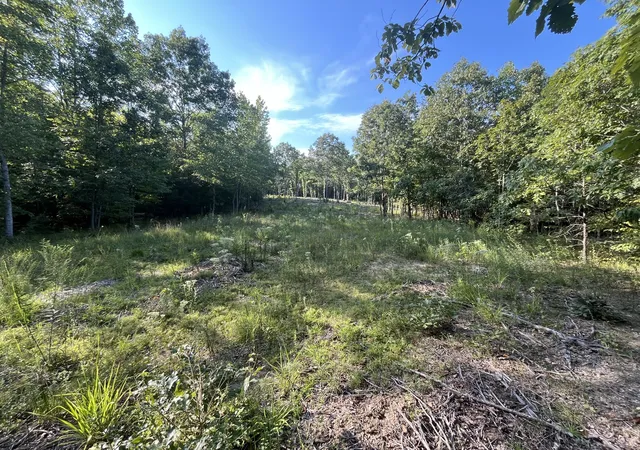 3rd image of 481 Hillbrook Dr, Linden, TN 37096 | MLS# 3243057