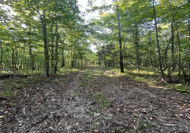 4th image of 481 Hillbrook Dr, Linden, TN 37096 | MLS# 3243057