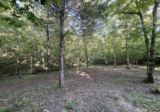 5th image of 481 Hillbrook Dr, Linden, TN 37096 | MLS# 3243057