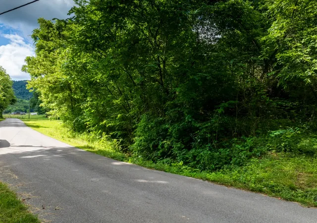 Homes for sale in Powder Springs, TN | 0 Round Barn Rd, Powder Springs, TN 37848 | MLS# 3243422