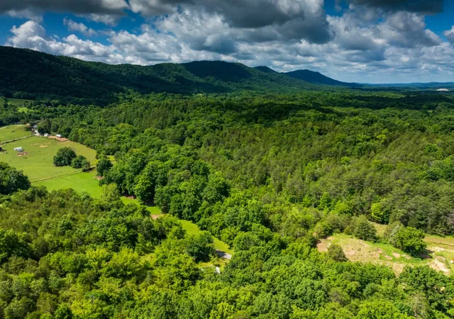 Homes for sale in Powder Springs, TN | 0 Round Barn Rd, Powder Springs, TN 37848 | MLS# 3243422