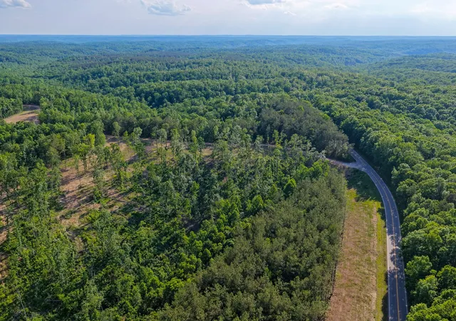 Homes for sale in Centerville, TN | 0 Firetower Rd, Centerville, TN 37033 | MLS# 3243347
