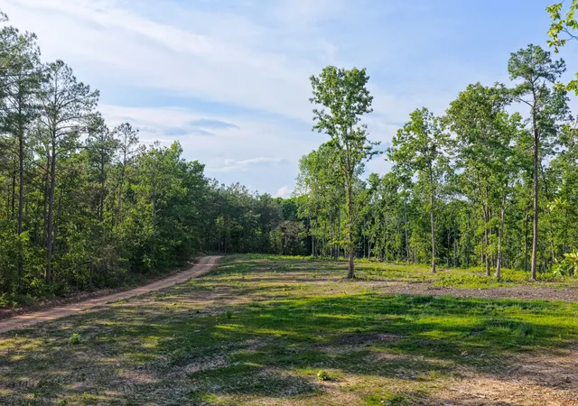 Homes for sale in Centerville, TN | 0 Firetower Rd, Centerville, TN 37033 | MLS# 3243347
