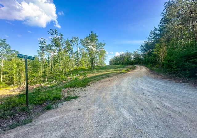 Homes for sale in Centerville, TN | 0 Firetower Rd, Centerville, TN 37033 | MLS# 3243347