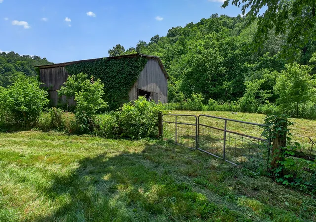 Homes for sale in Whitleyville, TN | 283 Hunting Creek Rd, Whitleyville, TN 38588 | MLS# 3243398