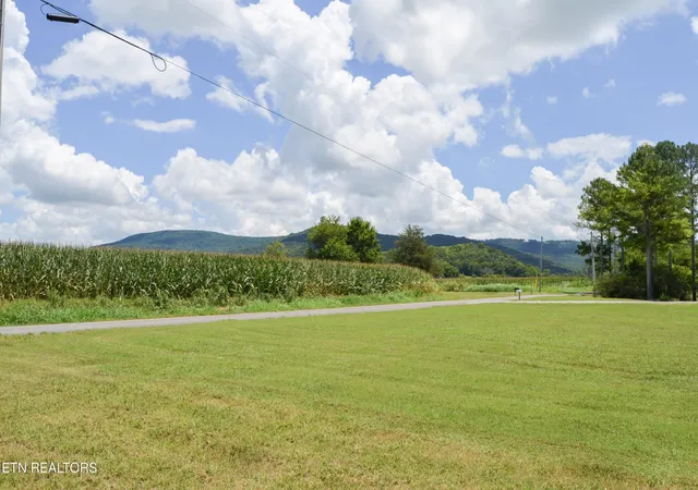 Homes for sale in Pikeville, TN | 241 Terry Rd, Pikeville, TN 37367 | MLS# 3243395