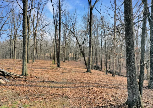 Homes for sale in Bethpage, TN | 1041 Old Mount Vernon Rd, Bethpage, TN 37022 | MLS# 3243507