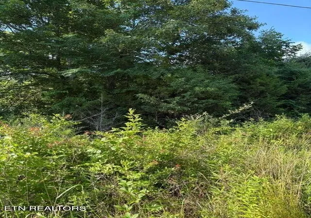2nd image of 1 Old Furnace Rd, Tellico Plains, TN 37385 | MLS# 3243614