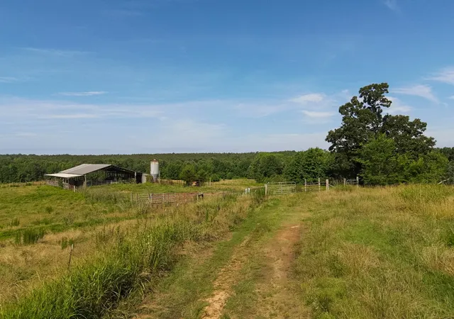 Homes for sale in Decaturville, TN | 1074 Mcgee Rd, Decaturville, TN 38329 | MLS# 3243648