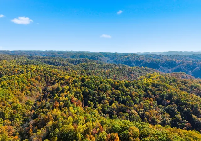 Photo 4 of House for sale at 4300 Bull Run Rd, Ashland City, TN 37015 | MLS# 3243747 | Listing updated on 2026-06-16