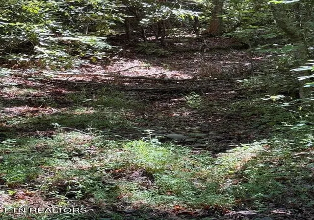 5th image of 4 Old Furnace Rd, Tellico Plains, TN 37385 | MLS# 3243667