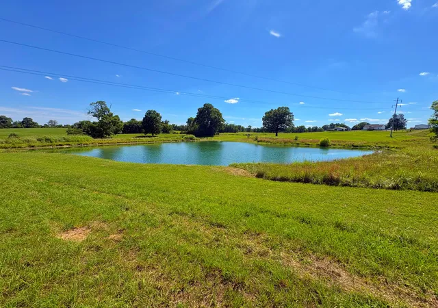 Homes for sale in Castalian Springs, TN | 485c Canoe Branch Rd, Castalian Springs, TN 37031 | MLS# 3243727
