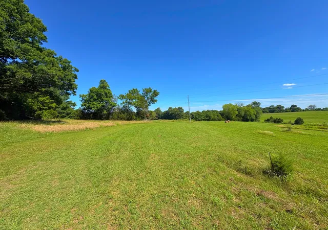 Homes for sale in Castalian Springs, TN | 485C Canoe Branch Rd, Castalian Springs, TN 37031 | MLS# 3243727