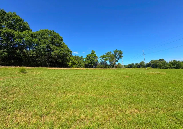 Homes for sale in Castalian Springs, TN | 485C Canoe Branch Rd, Castalian Springs, TN 37031 | MLS# 3243727