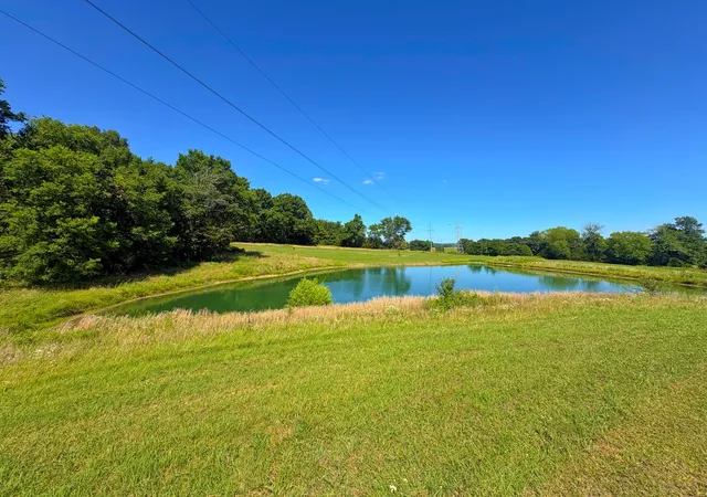Homes for sale in Castalian Springs, TN | 485C Canoe Branch Rd, Castalian Springs, TN 37031 | MLS# 3243727