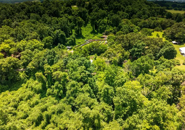 31st image of 1175 Mcghee Rd, Greenback, TN 37742 | MLS# 3243799