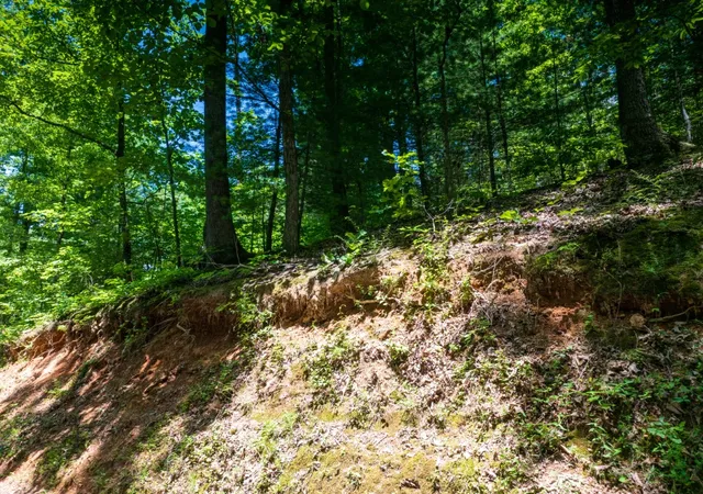 40th image of 0 Mcghee Rd, Greenback, TN 37742 | MLS# 3243804