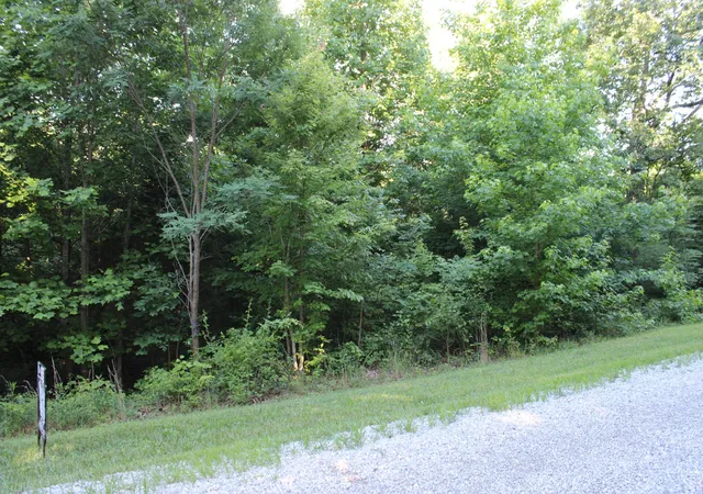 1st image of 0 Bluff Line, Mc Minnville, TN 37110 | MLS# 3250635