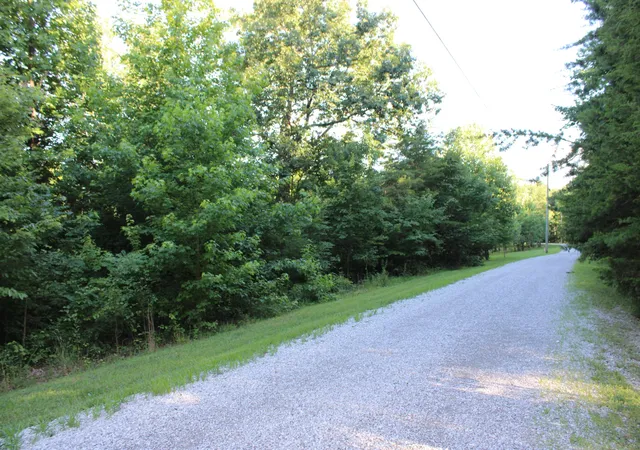 2nd image of 0 Bluff Line, Mc Minnville, TN 37110 | MLS# 3250635