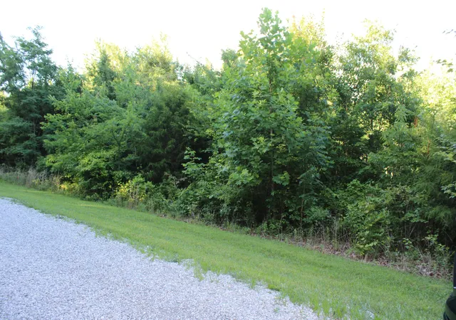 4th image of 0 Bluff Line, Mc Minnville, TN 37110 | MLS# 3250635