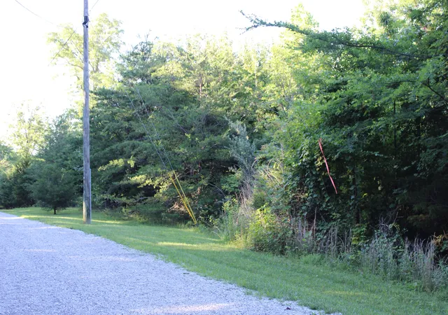 5th image of 0 Bluff Line, Mc Minnville, TN 37110 | MLS# 3250635