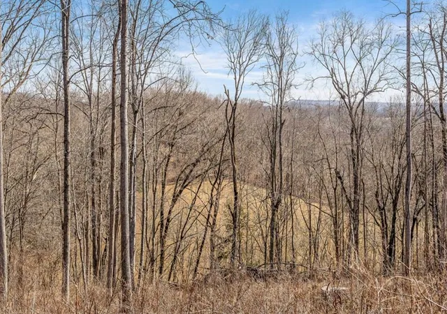 Homes for sale in Sparta, TN | 0 Forest Circle, Sparta, TN 38583 | MLS# 3244028